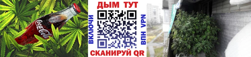 купить  сайты  Ковылкино  Cannafood конопля 