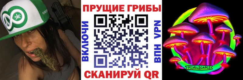 купить наркоту  Ковылкино  Псилоцибиновые грибы мухоморы 